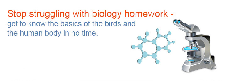 can someone help me with biology homework